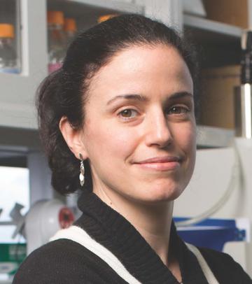 Elisa Konofagou Elisa Konofagou